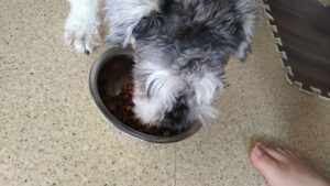 午前のお時間　2024/7/16