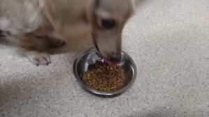 夜のお時間  2024/7/16