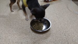 夜のお時間   2024/7/17