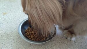 午前のお時間　2024/7/18