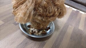 夜のお時間　2024/7/18