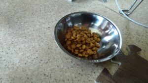 午前のお時間　2024/7/19