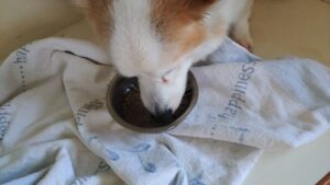 午前のお時間　2024/7/20