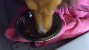 夜のお時間　2024/7/20