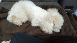 夜のお時間　2024/7/22