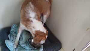 午前のお時間　2024/7/24