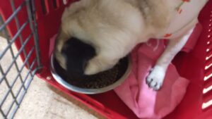 夜のお時間　2024/7/24