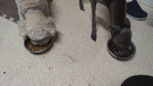 夜のお時間　2024/7/25