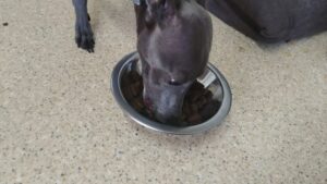 朝のお時間　2024/7/26