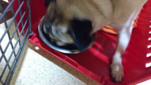 夜のお時間　2024/7/26