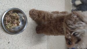 夜のお時間　2024/7/27