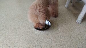 午前のお時間　2024/7/28