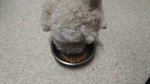 夜のお時間　2024/7/28