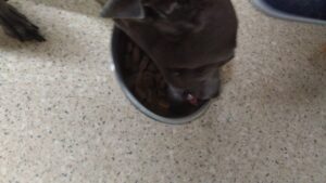 夜のお時間 2024/7/29