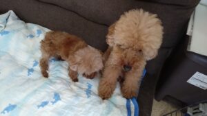 午前のお時間   2024/7/30