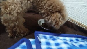 夜のお時間　2024/7/30