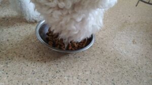 午前のお時間　2024/7/31