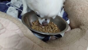 夜のお時間　2024/8/1