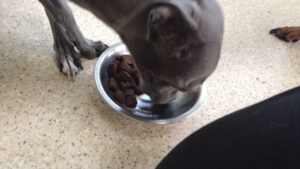 午前のお時間    2024/8/2