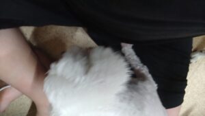 夜のお時間　2024/8/2