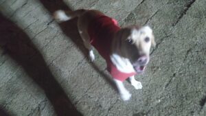 夜のお時間　2024/12/20