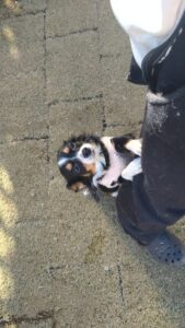 朝のお時間　2024/12/21