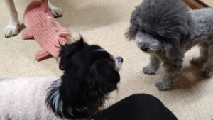 夜のお時間　2024/12/21