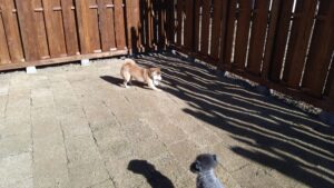 朝のお時間　2024/12/22