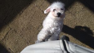 朝のお時間　2024/12/24