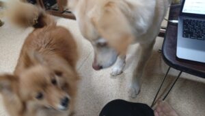 夜のお時間　2024/12/24