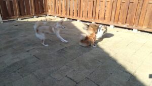 午前のお時間　2024/12/25