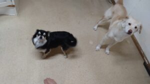 夜のお時間　2024/12/25