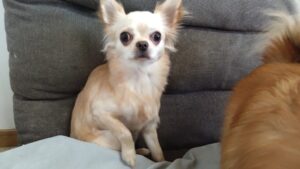 朝のお時間　2024/12/26