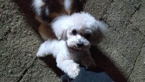 夜のお時間　2024/12/26