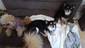 午前のお時間　2024/12/27