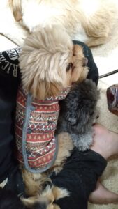 夜のお時間　2024/12/27