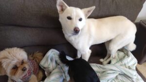 午前のお時間　2024/12/28