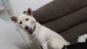 夜のお時間　2024/12/28