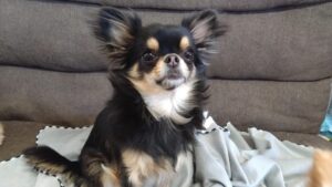 午前のお時間　2024/12/29