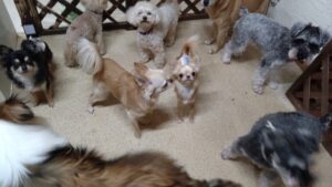 夜のお時間　2024/12/30