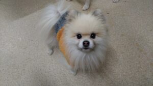 夜のお時間 2024/12/31