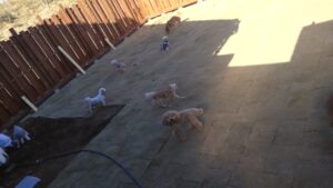 午前のお時間　2025/1/1