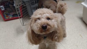 夜のお時間　2025/1/1