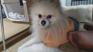 午前のお時間　2025/1/3