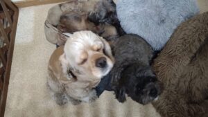 夜のお時間　2025/1/3