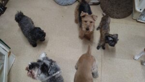 午前のお時間　2025/1/5