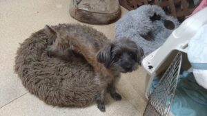 夜のお時間　2025/1/5