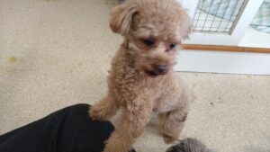 朝のお時間！ 2025/1/6