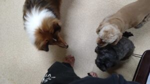 夜のお時間　2025/1/6