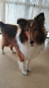 朝のお時間　2025/1/7